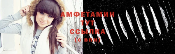 ГАЛЛЮЦИНОГЕННЫЕ ГРИБЫ Пестово