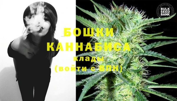 ГАЛЛЮЦИНОГЕННЫЕ ГРИБЫ Пестово