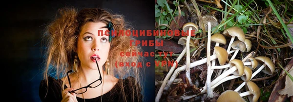 стаф Переславль-Залесский