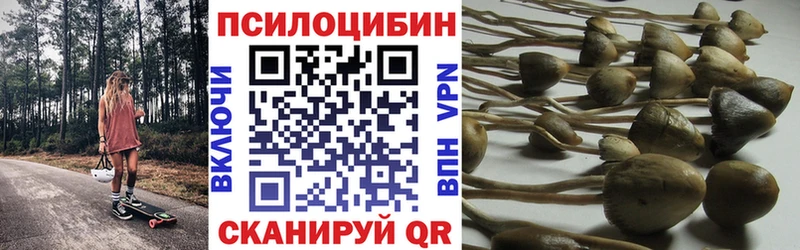 ссылка на мегу ONION  Армянск  Галлюциногенные грибы мухоморы 