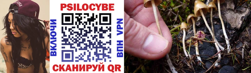 Галлюциногенные грибы Psilocybe Армянск
